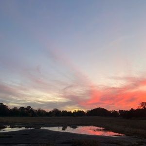 Meet your Posher, Joanne